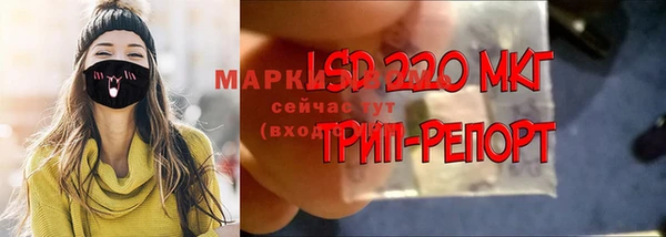 гидра Киреевск