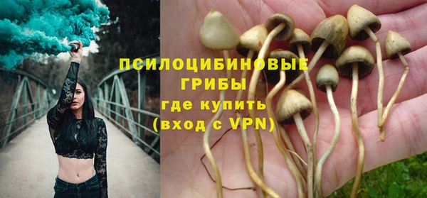 гидра Киреевск