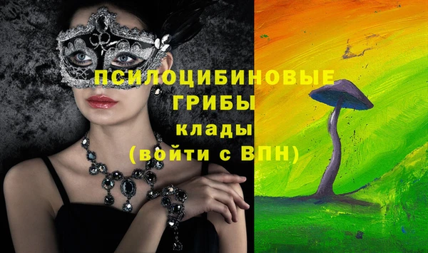 гидра Киреевск