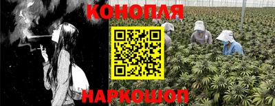 соль ск Свободный