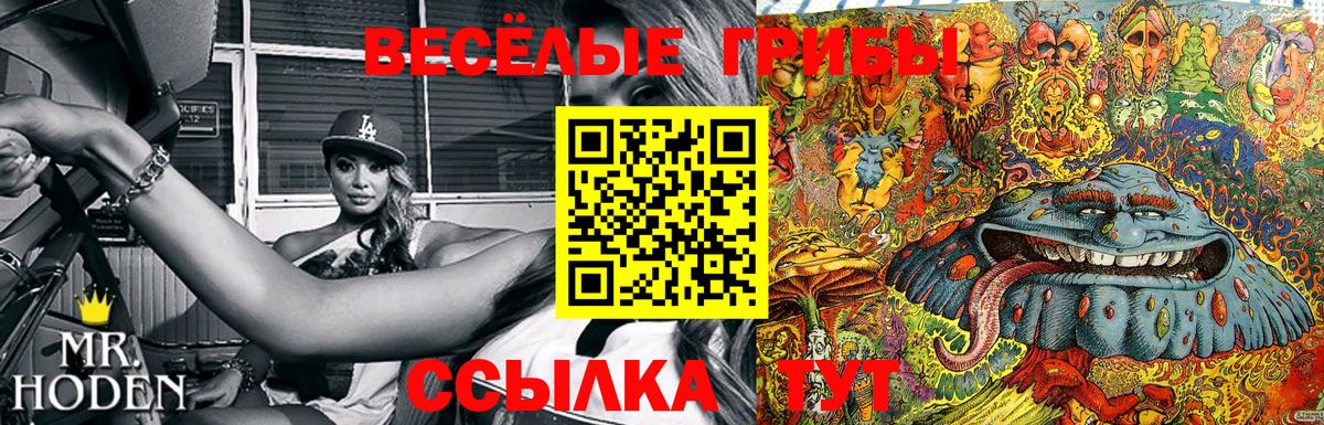 Галлюциногенные грибы мицелий Рузаевка