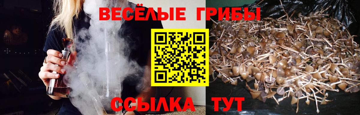 Рузаевка  Псилоцибиновые грибы Psilocybe  Вход с VPN  Галлюциногенные грибы Psilocybine cubensis 